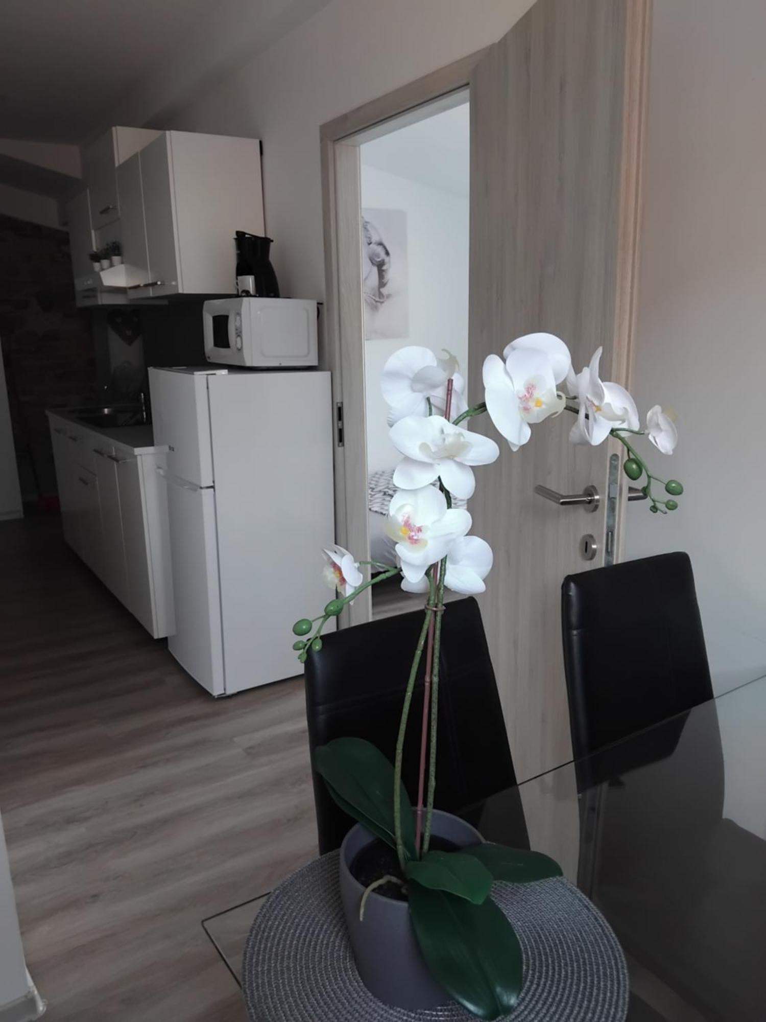 Apartmaja Eva&Pia Κόπερ Εξωτερικό φωτογραφία